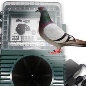 BirdGard Pro - Pigeons (galambok ellen)