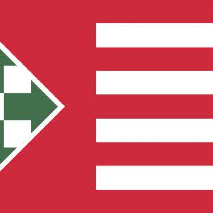 Nyilaskeresztes Párt - Hungarista Mozgalom zászló 150x90 cm 2. verzió