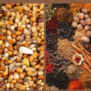 Elektromos gabonaőrlő 600 W teljesítménnyel, 25 literes kapacitással – fűszerek, gabonák és kávébab őrléséhez