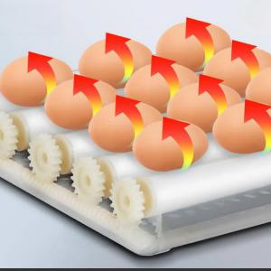 Keltetőgép, inkubátor – 12 tojás – automatikus forgatás