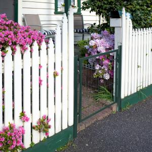 Kertkapu, kertajtó, kerítés, udvari ajtó acél fogantyúval és zárral, 97 x 150 cm méretű, zöld