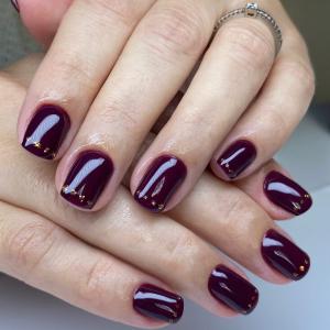 Profinails LED/UV lakkzselé 6 g No. 190 - Eggplant