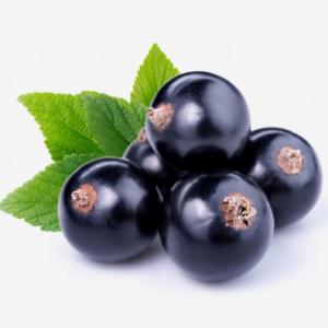 Yodeyma parfüm Celebrity Woman 15ml