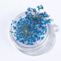 Szárított virág Kék