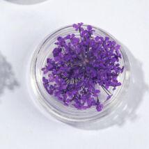 Szárított virág Lila