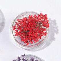 Szárított virág Piros