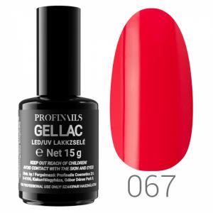 !!!Big!!! Profinails Gel Lac LED/UV lakkzselé 15 g No. 067