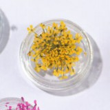 Szárított virág Sárga