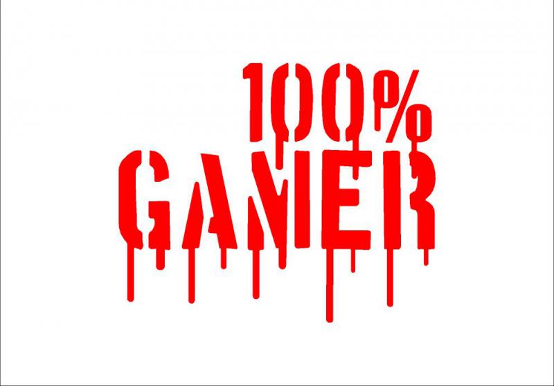 100% Gamer matrica (M1) /EU-HU/
