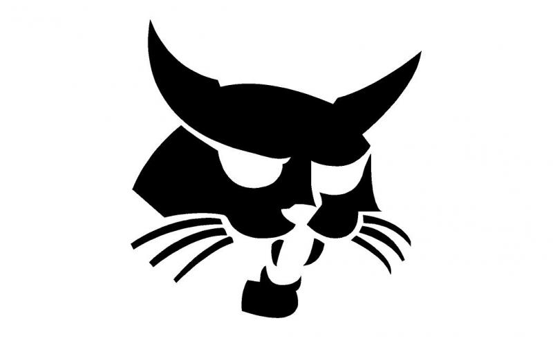 Bobcat macska matrica (M2)