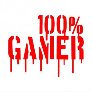 100% Gamer matrica (M2) /EU-HU/