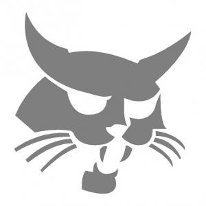 Bobcat macska matrica (M1)