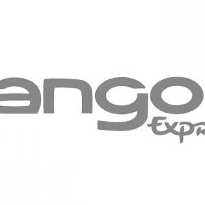 Kangoo Express matrica (M2)