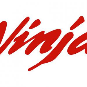 Ninja matrica 2. típus (M0) /EU-HU/