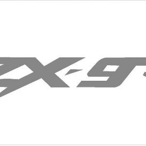 ZX-9R matrica (M1) /EU-HU/