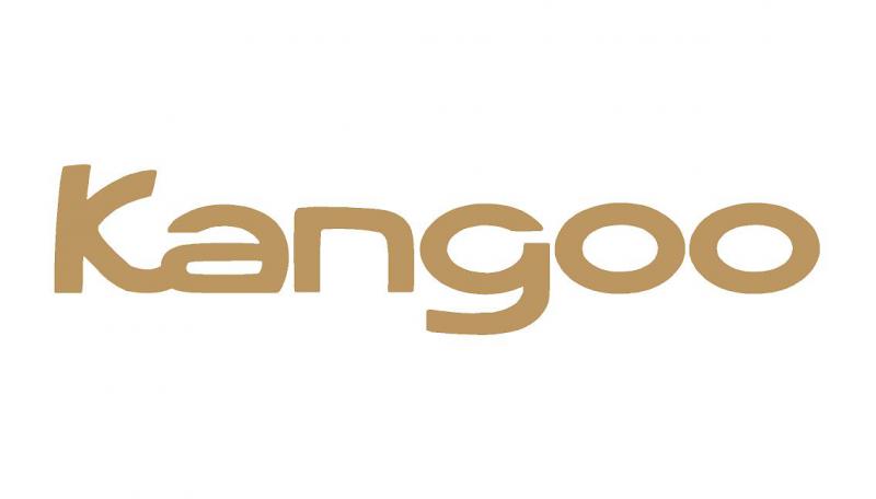 Kangoo matrica (M2) /EU-HU/