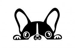 Kutyafej matrica V.1 (M1) /EU-HU/