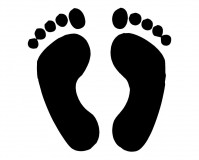 Lábnyom (M1) /EU-HU/