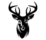 Szarvasfej matrica (M1) /EU-HU/