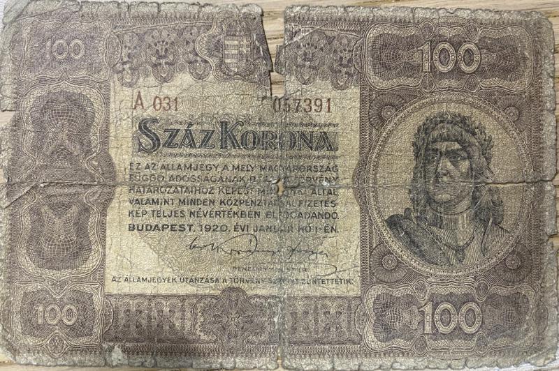 100 korona (1920)