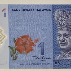 Malájzia 1 ringgit bankjegy (UNC) 2011