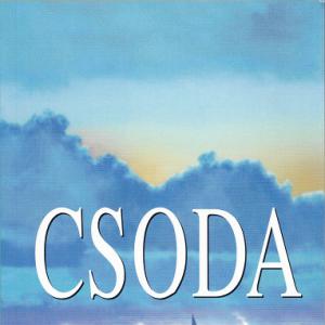 Danielle Steel - Csoda