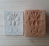 Sütipecsét, szekfű