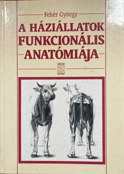 A háziállatok funkcionális anatómiája 1.