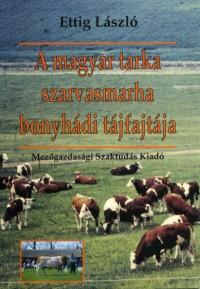 A magyar tarka szarvasmarha bonyhádi fajtája