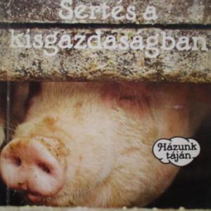 Sertés a kisgazdaságban