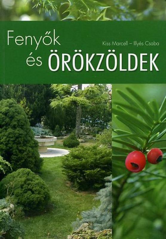 Fenyők és örökzöldek