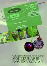 Molekuláris növénykórtan
