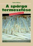 A spárga termesztése