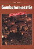 Gombatermesztés