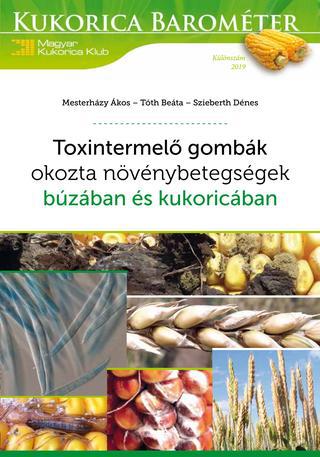 Toxintermelő gombák okozta növénybetegségek búzában és kukoricában