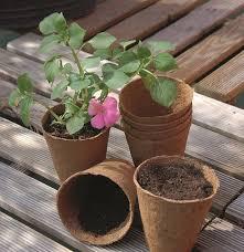 Biológiailag lebomló cserepek 18 db