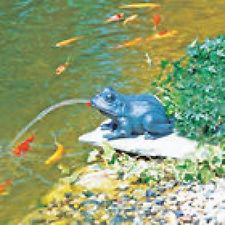 Csobogó Fekvő Béka