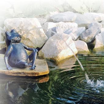 Csobogó Ülő Béka