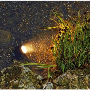 Pontec PondoStar LED Set 6 Vízi világítás