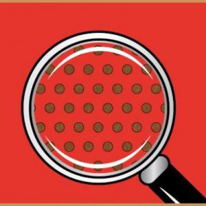 Új generációs ültetőfólia eperhez piros színben