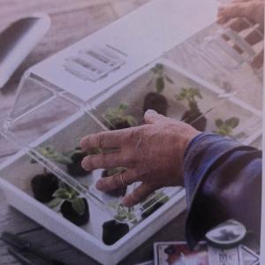 Ültetőtálca fedél szellőztető nyílással