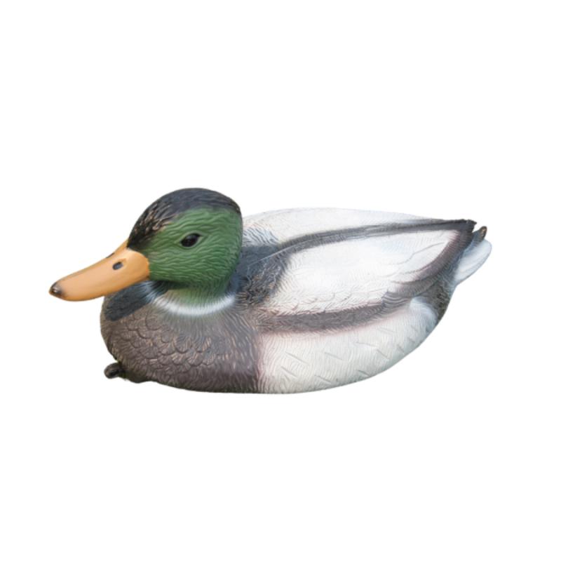 Hím vadkacsa, 36 cm fehér