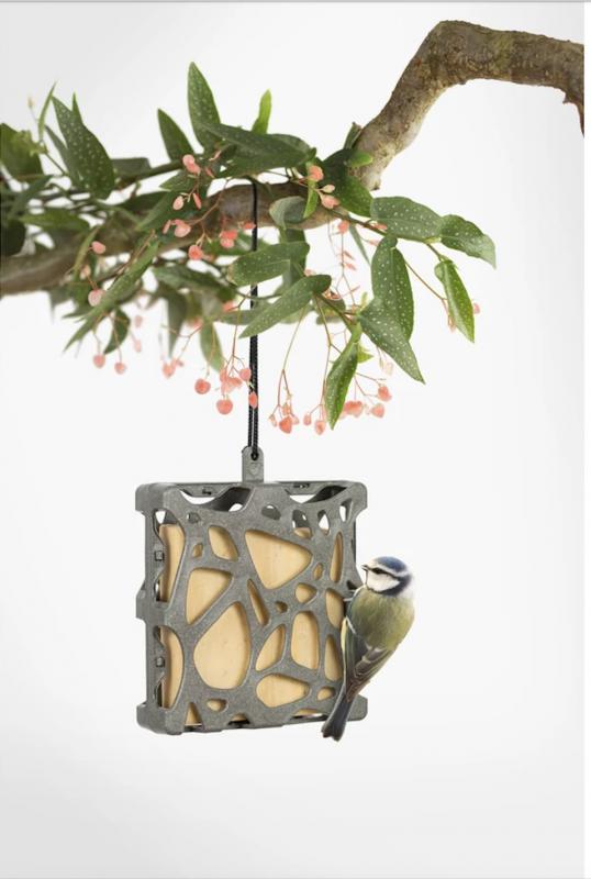 Madáretető eleséggel Dekor kocka