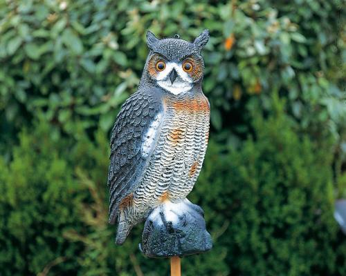 Nagy bagoly, 59 cm-es, élethű