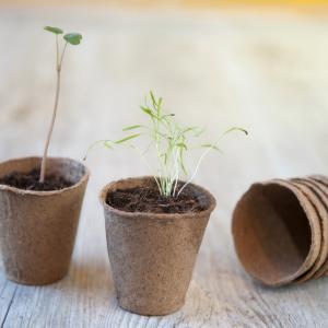 Biológiailag lebomló cserepek 15db/csomag