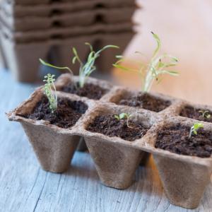 Biológiailag lebomló cserepek 6db 15-ös tálca 90 palánta számára