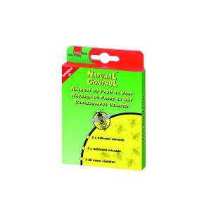 Darázscsapda csalétek