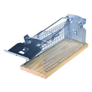 Hagyományos élvefogó egércsapda