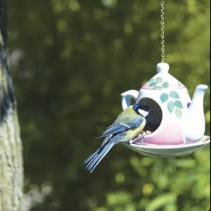 Romantikus stílusú Madáretető