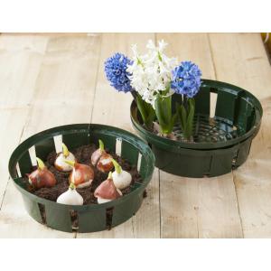 Virághagyma-ültető tálca 3 db-os készlet - kerek